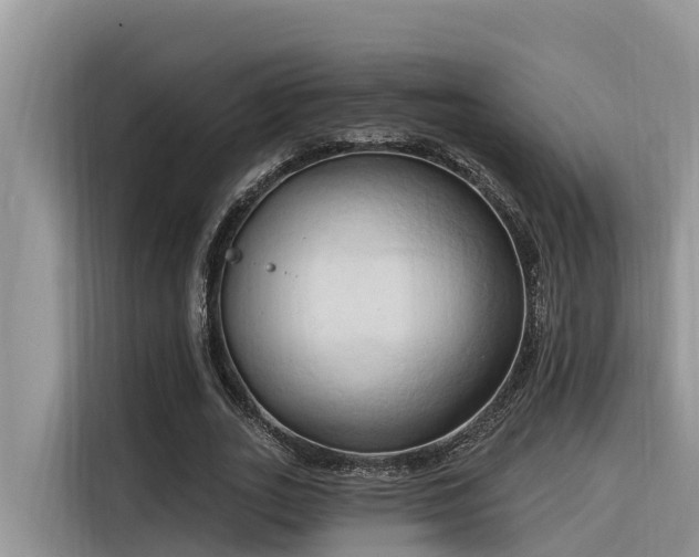 X0000116320727200912011112