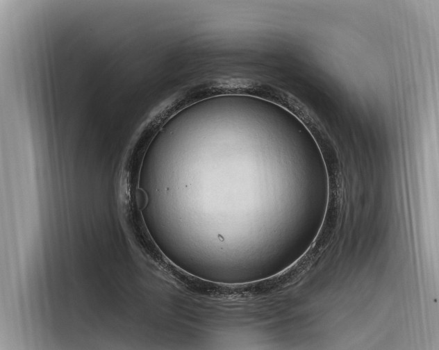 X0000116320731200912011112