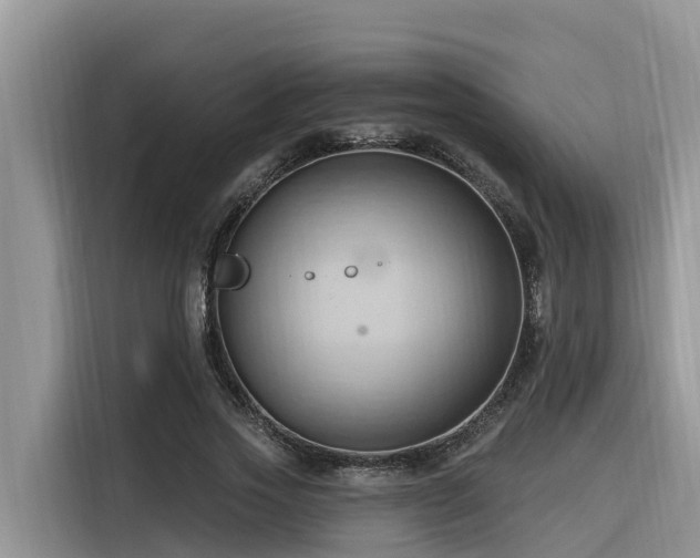 X0000116320733200912011112