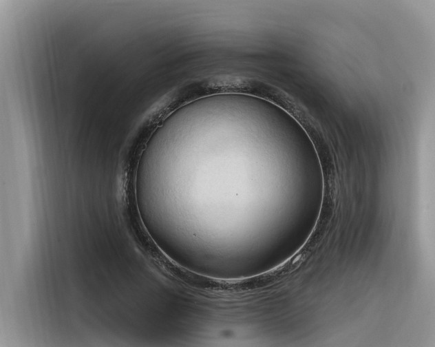 X0000116320735200912011112