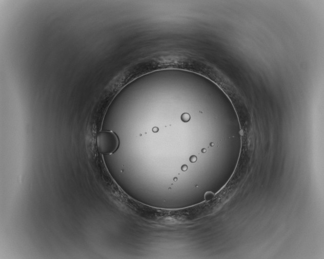 X0000116320737200912011112