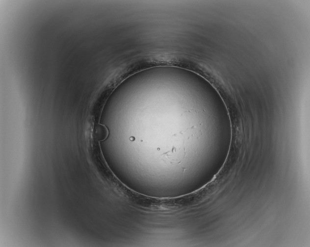 X0000116320739200912011112