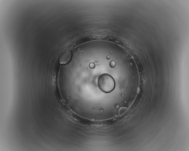 X0000116320745200912011112