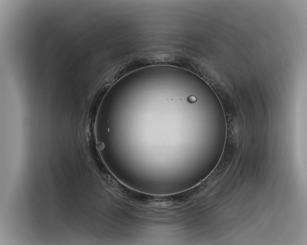 X0000116320746200912011112