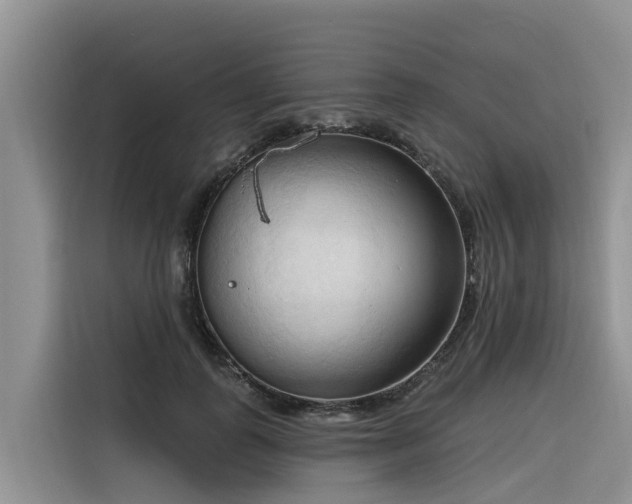 X0000116320747200912011112