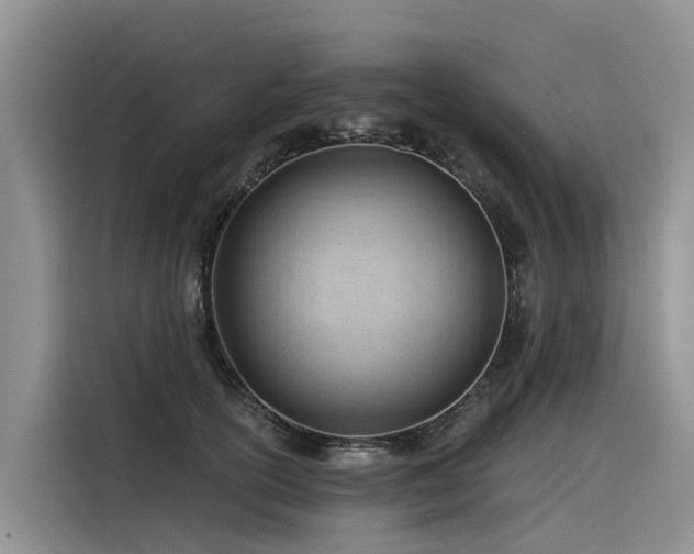 X0000116320754200912011112