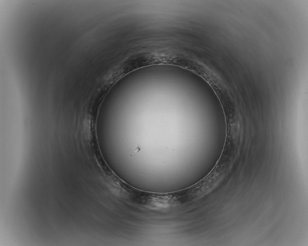 X0000116320757200912011112