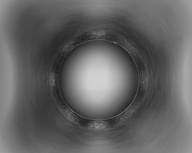 X0000116320758200912011112