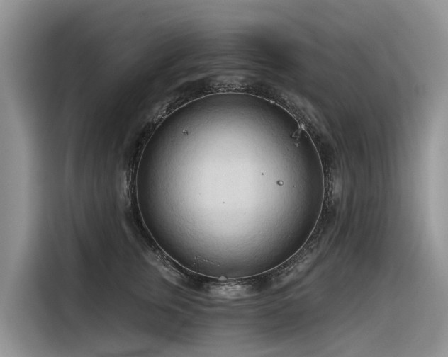 X0000116320759200912011112