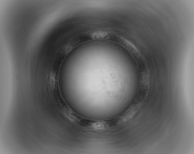 X0000116320761200912011112