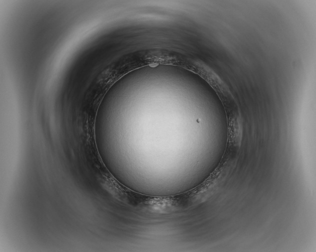 X0000116320762200912011112