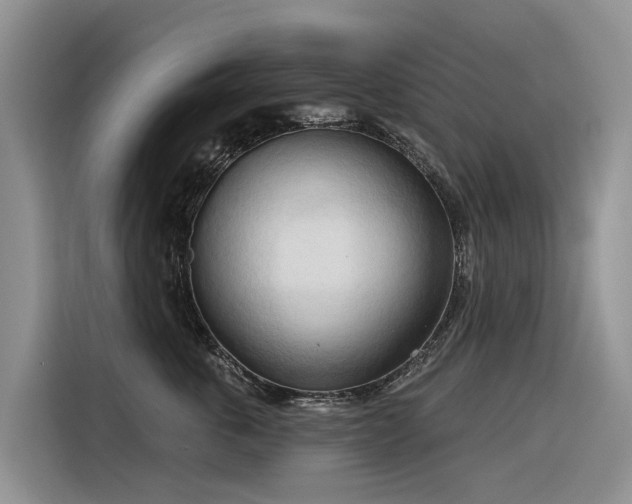 X0000116320763200912011112