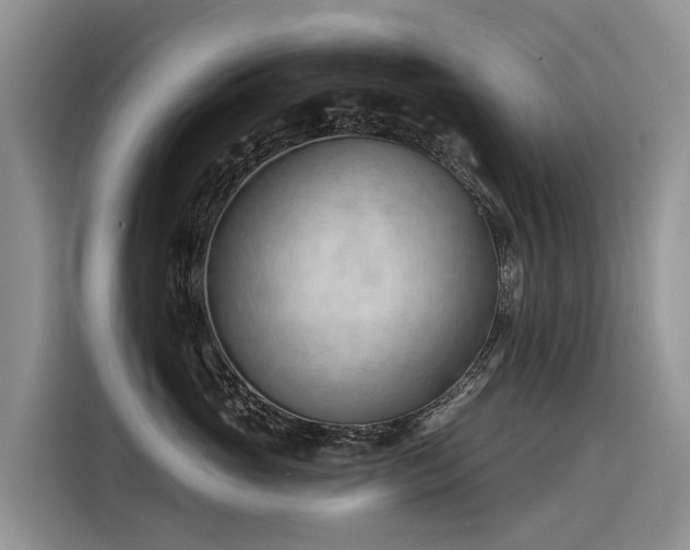 X0000116320765200912011112