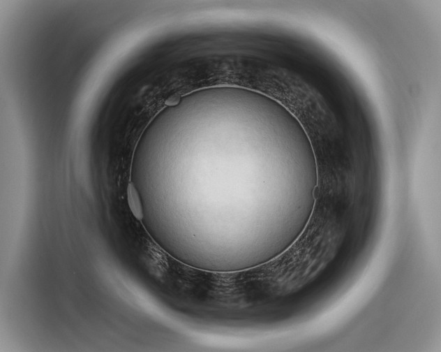 X0000116320766200912011112