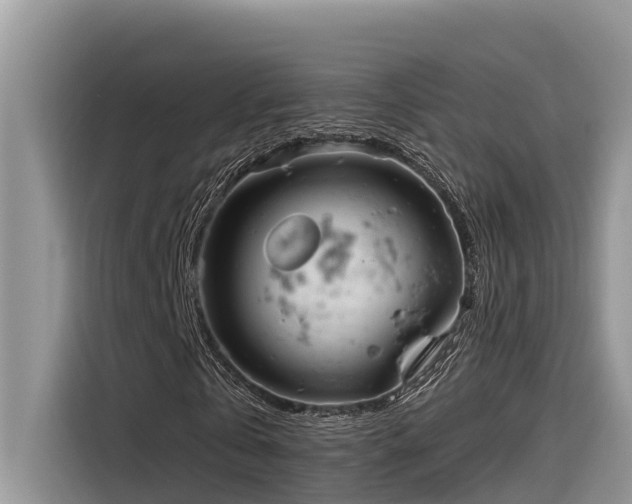 X0000116320769200912011112