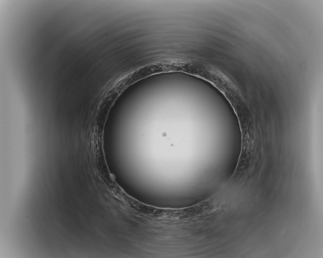 X0000116320773200912011112