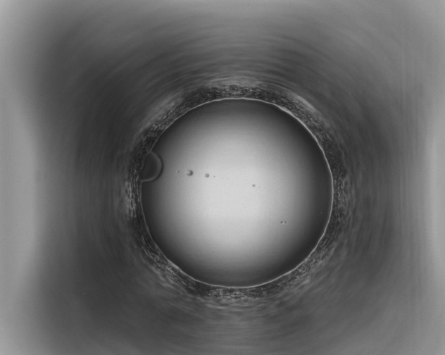 X0000116320774200912011112