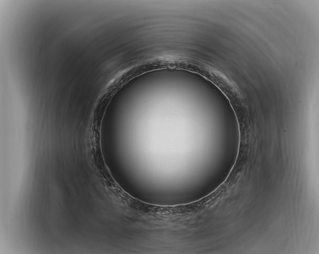 X0000116320776200912011112