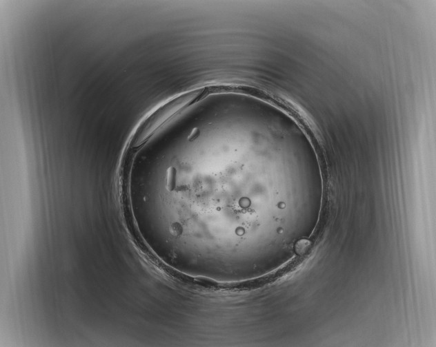 X0000116320779200912011112