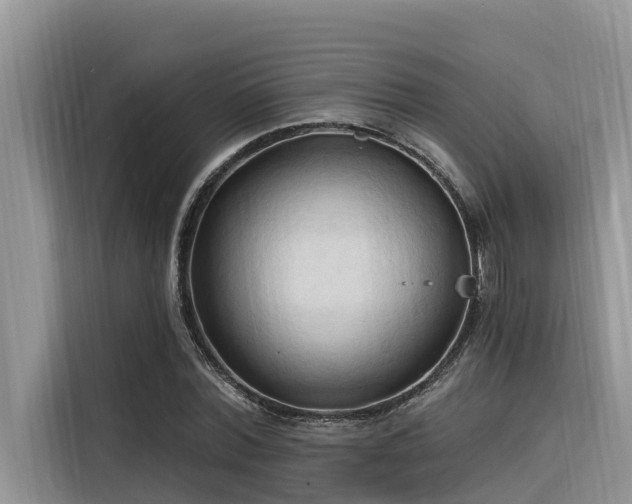 X0000116320780200912011111