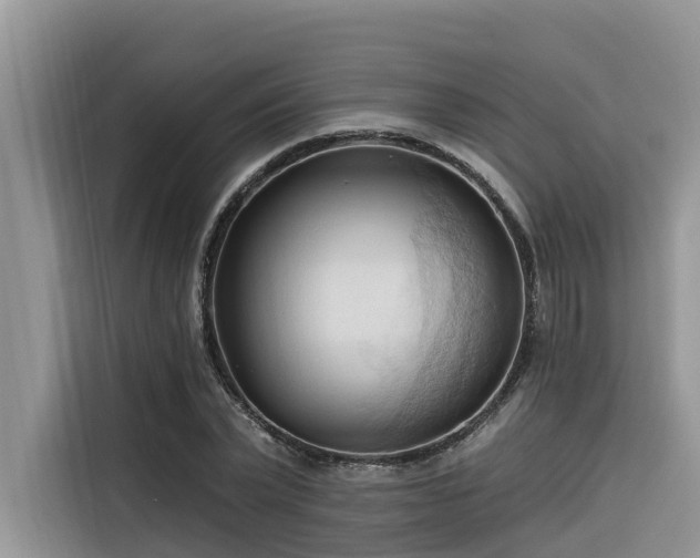 X0000116320783200912011111