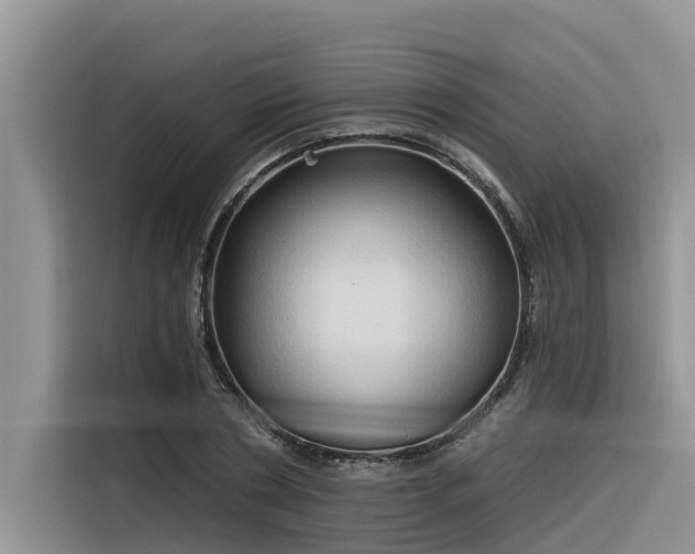 X0000116320786200912011111