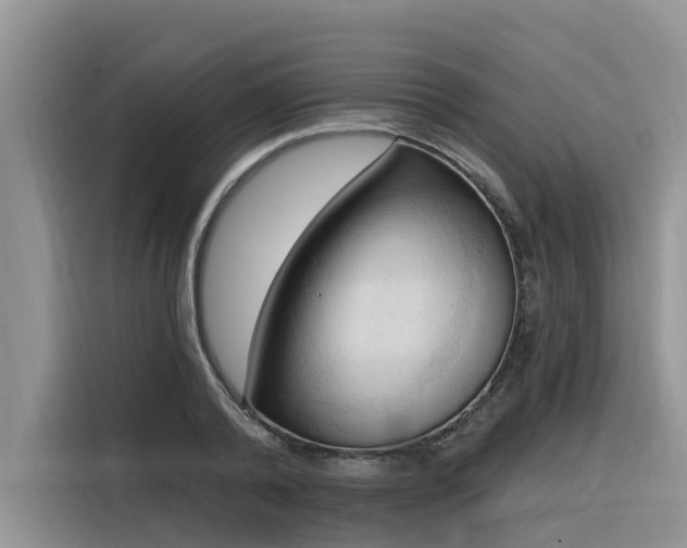 X0000116320792200912011111