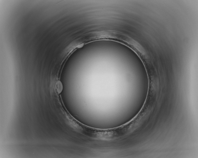 X0000116320793200912011111