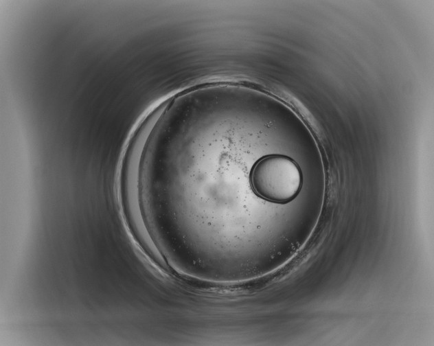 X0000116320795200912011111