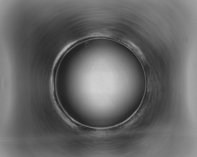 X0000116320796200912011111