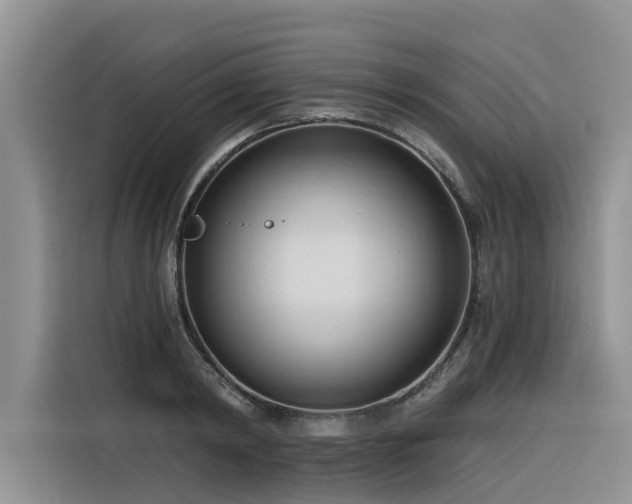 X0000116320798200912011111