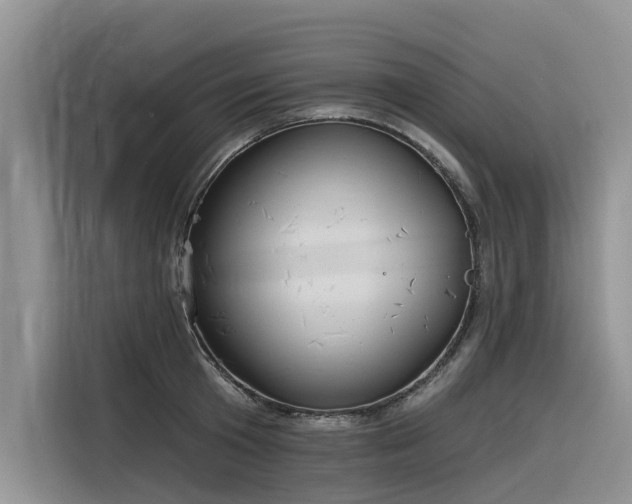 X0000116320801200912011111