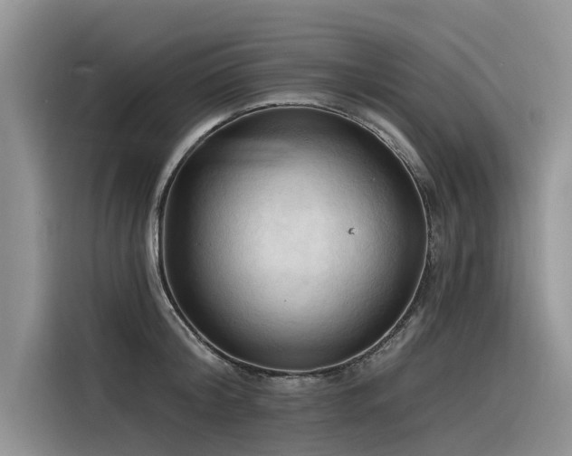 X0000116320804200912011111