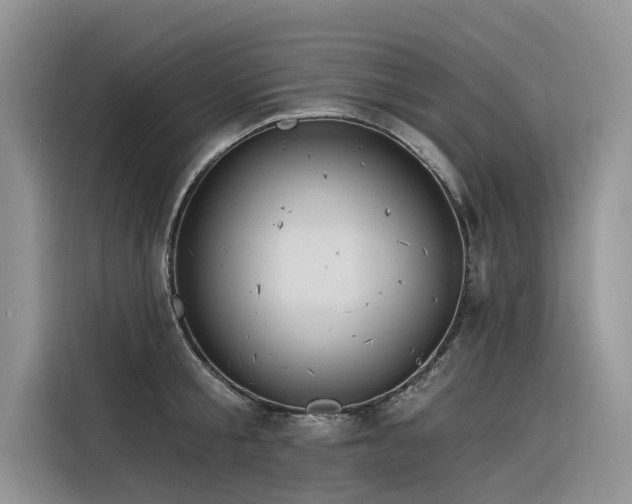 X0000116320805200912011111