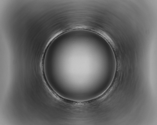 X0000116320806200912011111