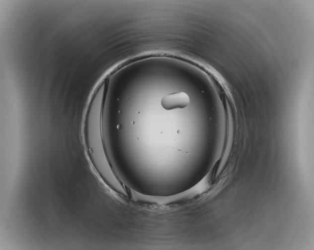 X0000116320807200912011111