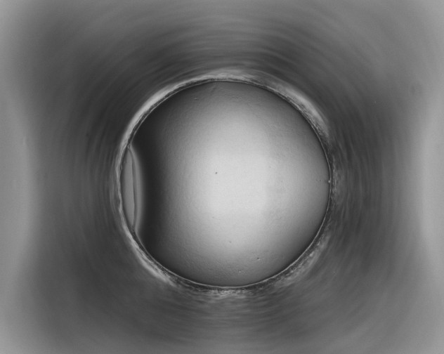 X0000116320808200912011111