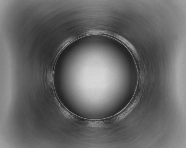 X0000116320809200912011111