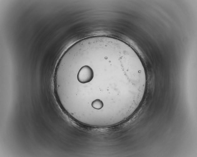 X0000116320810200912011111