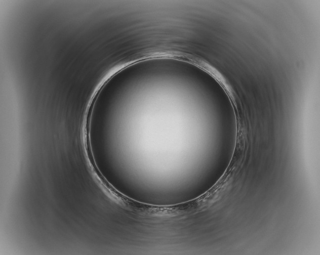 X0000116320811200912011111