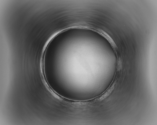 X0000116320812200912011111