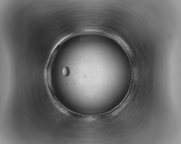 X0000116320814200912011111