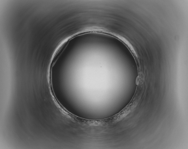 X0000116320815200912011111