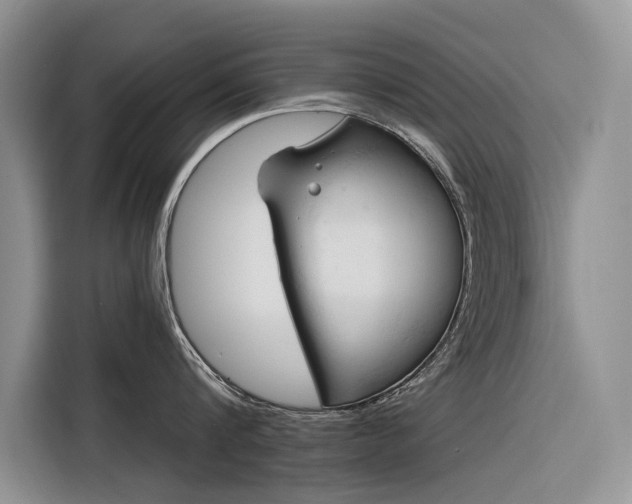 X0000116320816200912011111