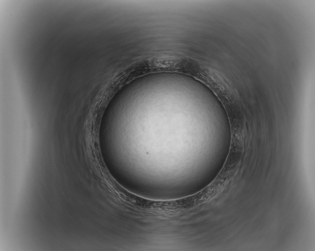 X0000116320817200912011110