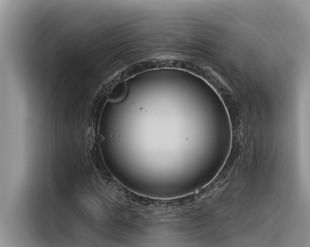 X0000116320821200912011110