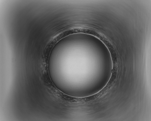 X0000116320822200912011110