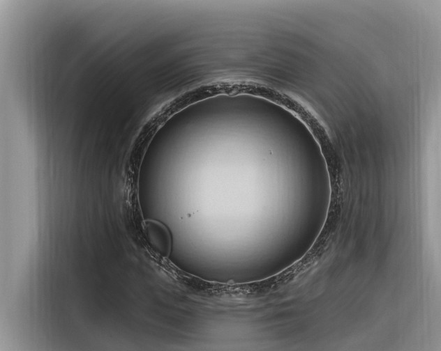 X0000116320823200912011110