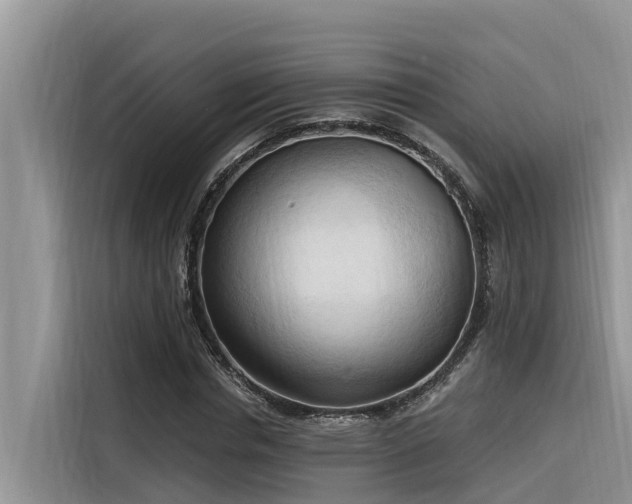 X0000116320826200912011111