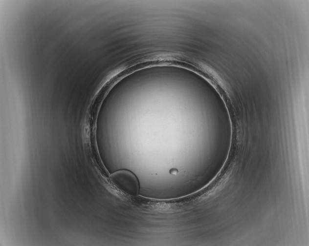 X0000116320827200912011111